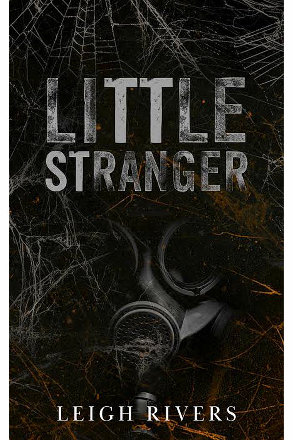 Little Stranger: A Dark Taboo Romance by Leigh Rivers