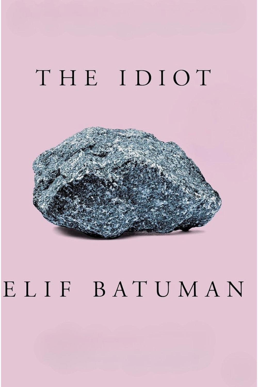 The Idiot by Elif Batuman