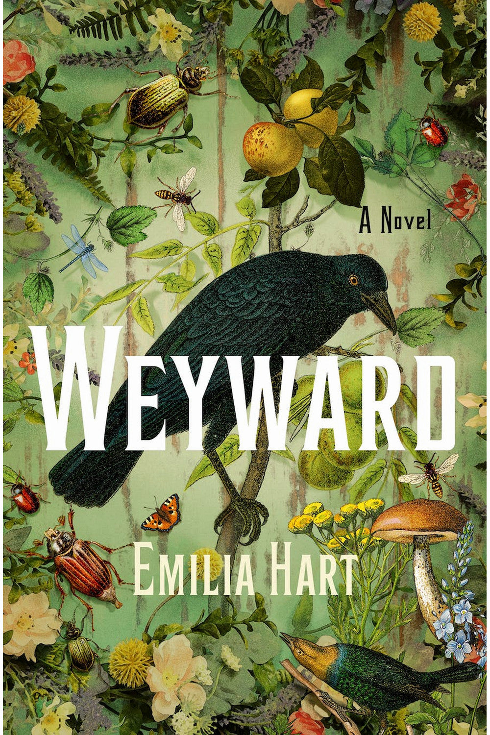 Weyward by Emilia Hart