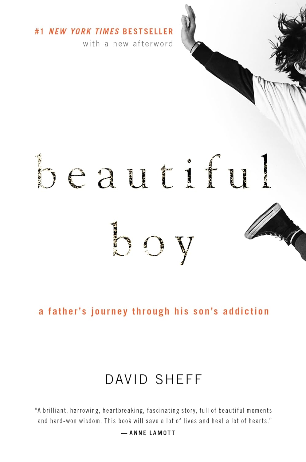 Beautiful Boy by David Sheff