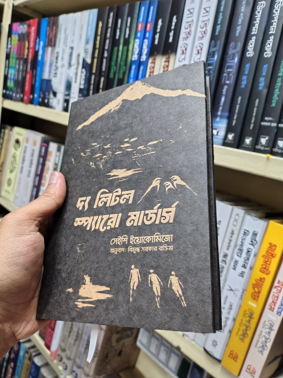 দ্য লিটল স্প্যারো মার্ডার্স — সেইশি ইয়োকোমিজো