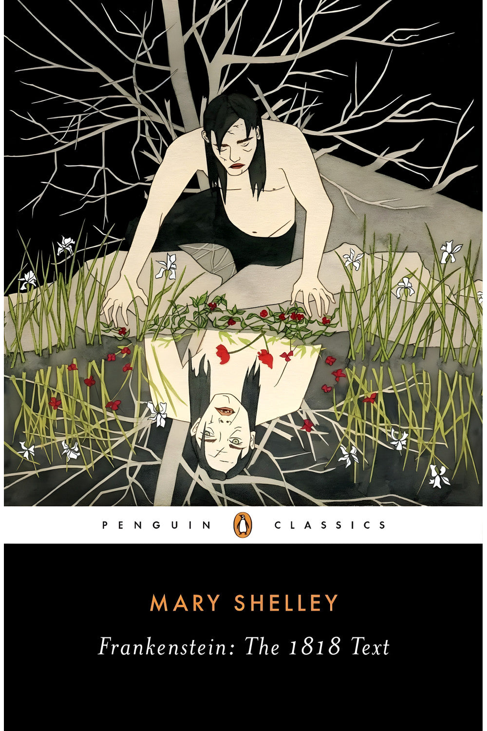 Frankenstein by Mary Shelley
