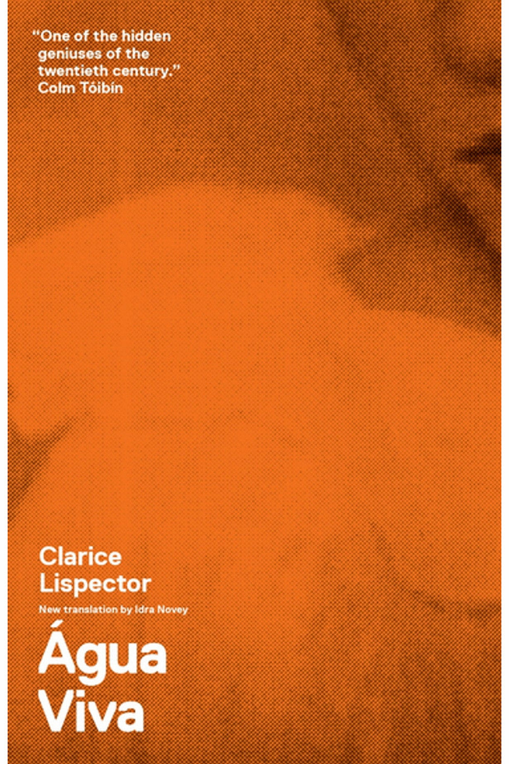 Agua Viva by Clarice Lispector