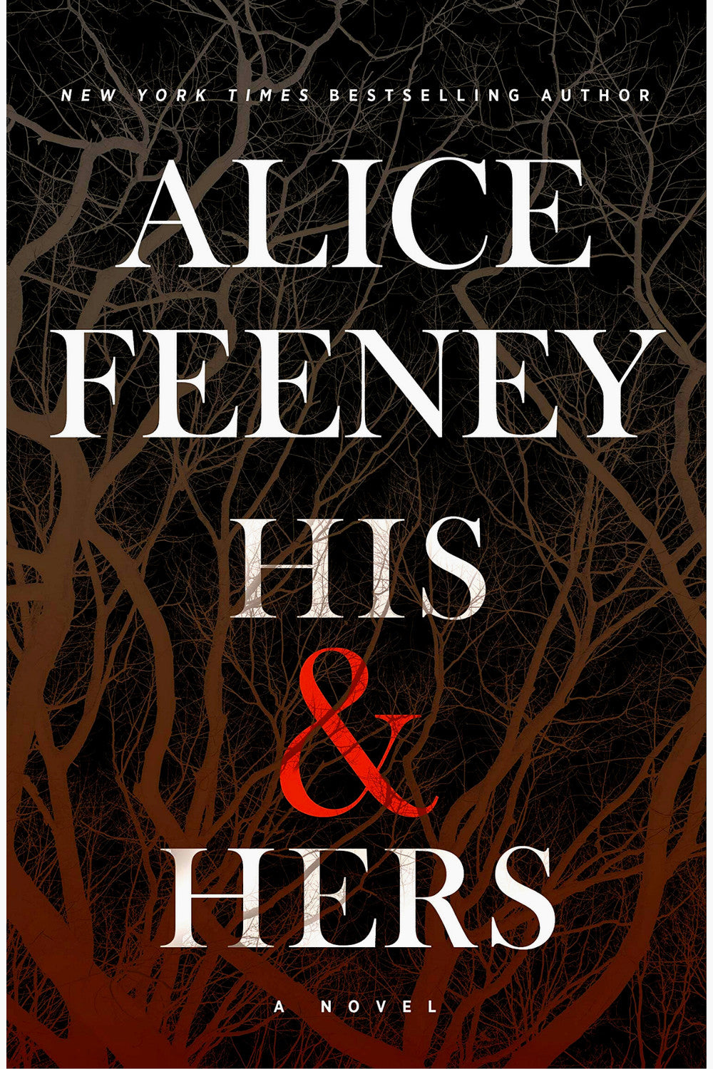 His & Hers by Alice Feeney