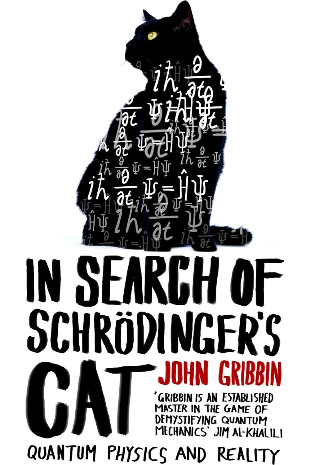 In Search of Schrödinger's Cat: Quantum Physics and Reality by John Gribbin