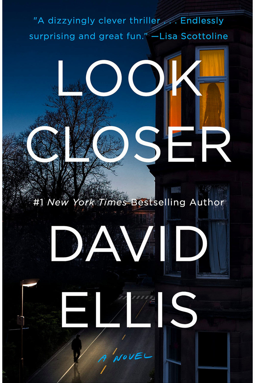 Look Closer by David Ellis