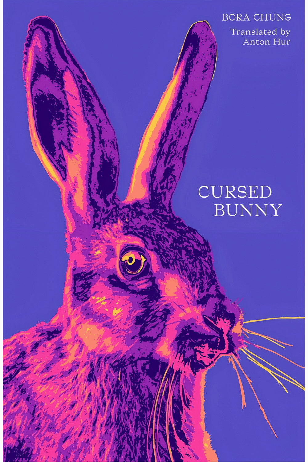 Cursed Bunny: Stories by Bora Chung