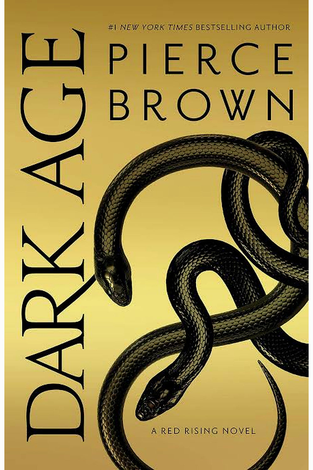 Dark Age by Pierce Brown