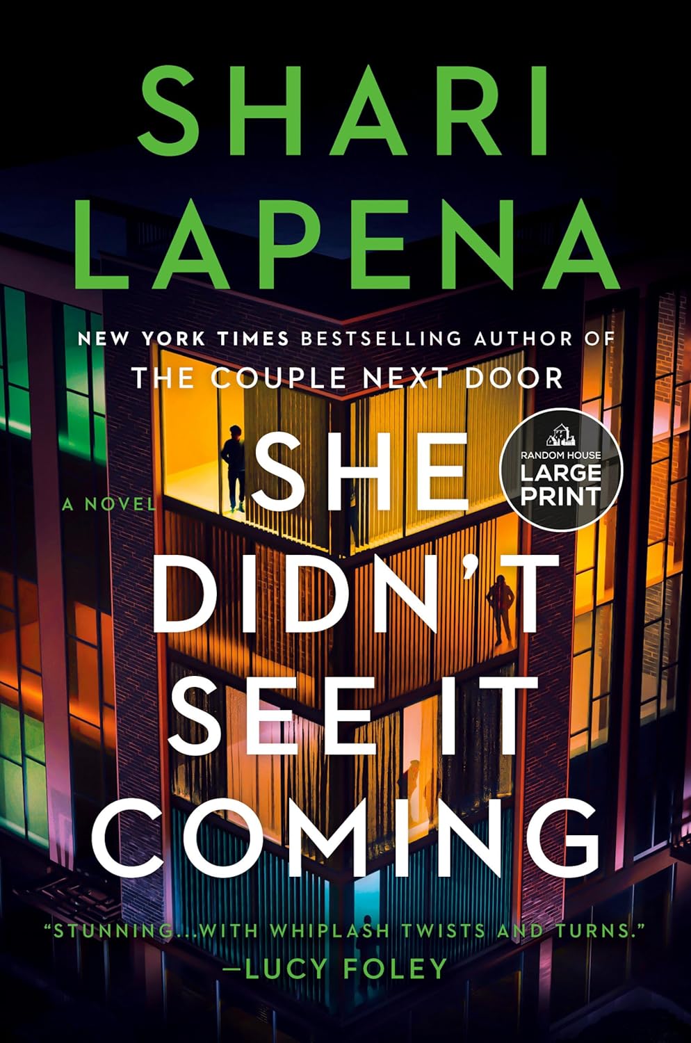 She Didn’t See It Coming by Shari Lapena