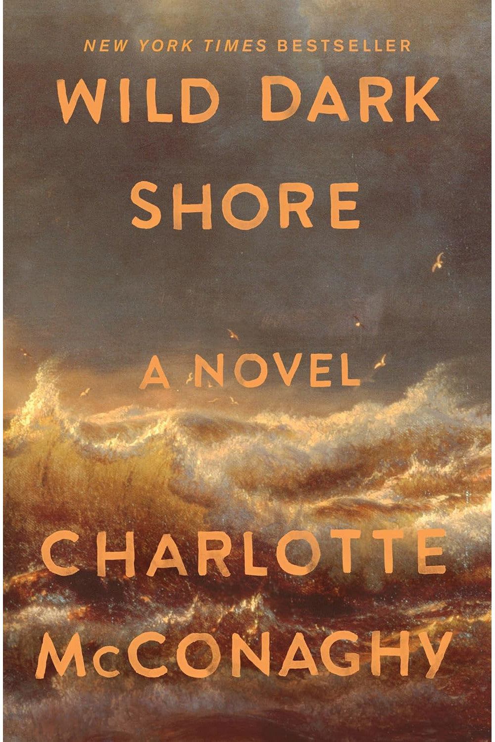 Wild Dark Shore by Charlotte McConaghy