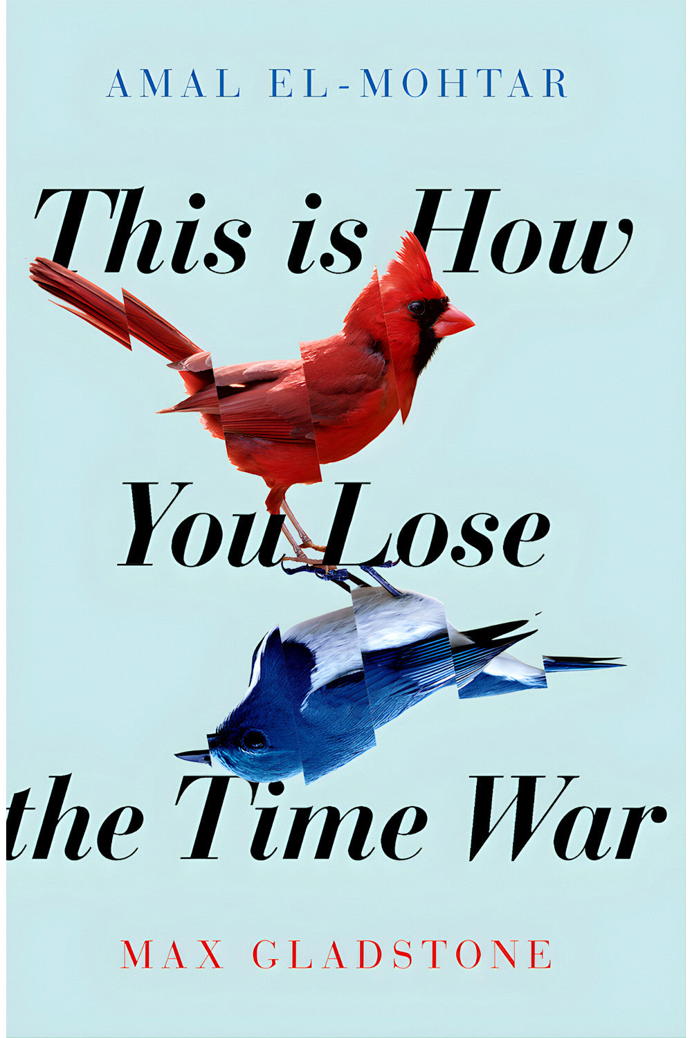 This Is How You Lose the Time War by Amal El-Mohtar and Max Gladstone