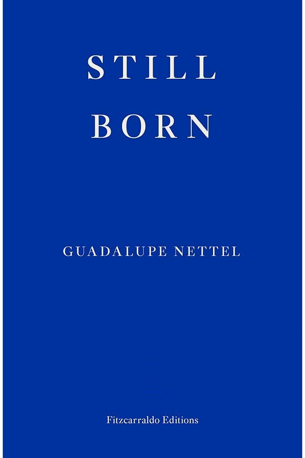 Still Born by Guadalupe Nettel