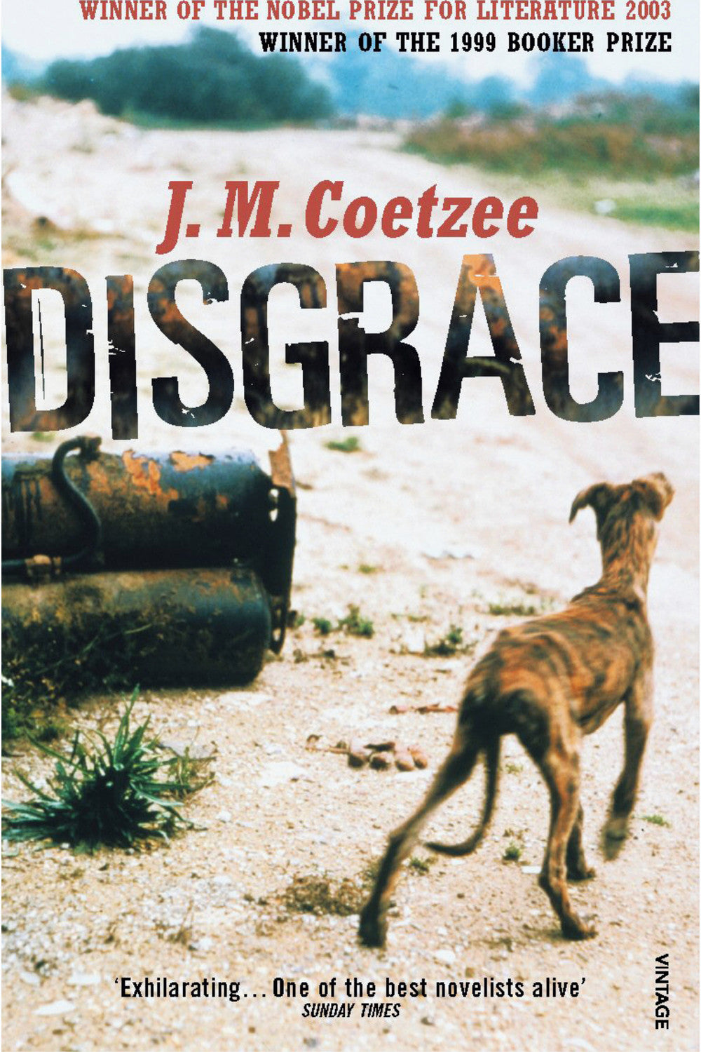 Disgrace by J.M. Coetzee