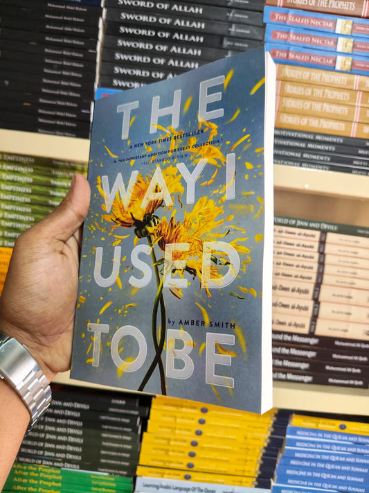 The Way I Used to Be by Amber Smith