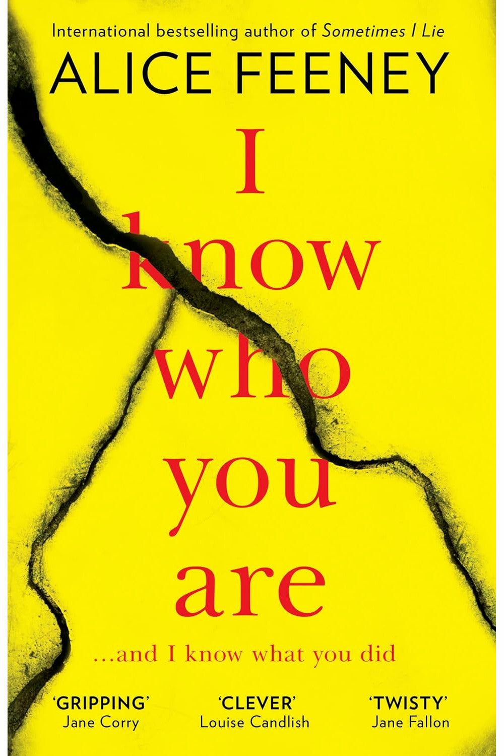 I Know Who You Are by Alice Feeney
