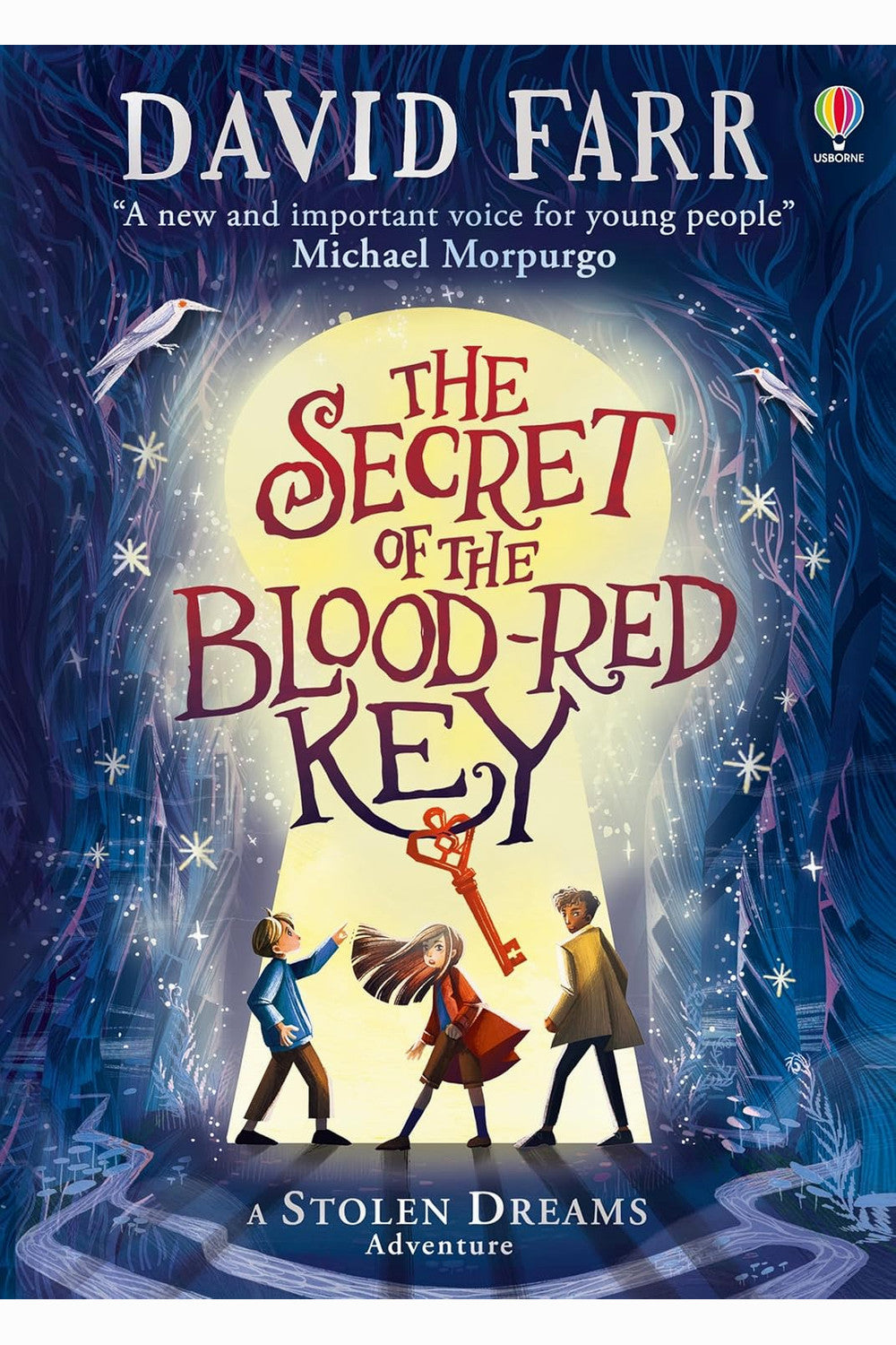 The Secret of the Blood-Red Key by David Farr