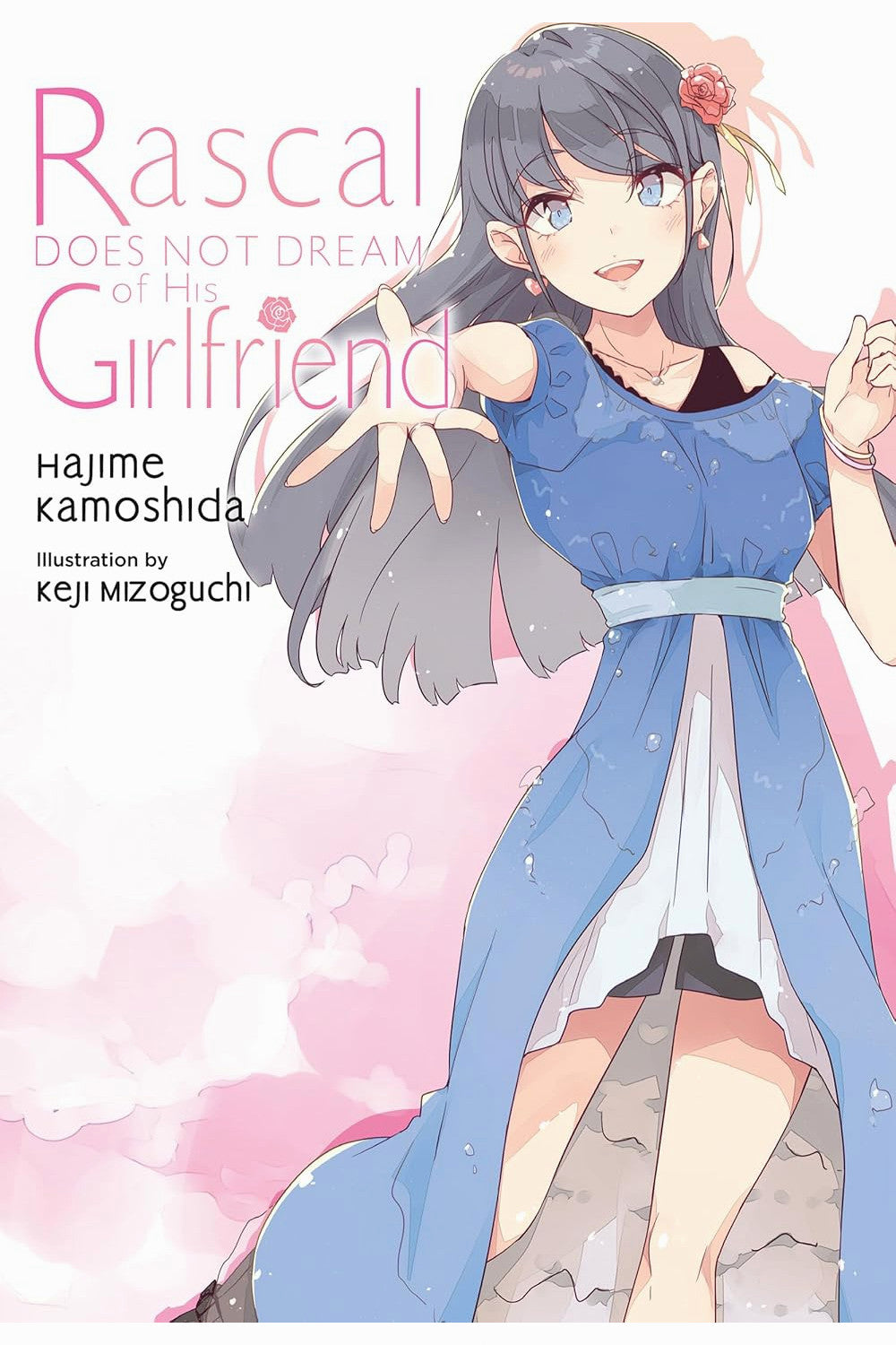Rascal Does Not Dream of His Girlfriend, Volume 14 by Hajime Kamoshida
