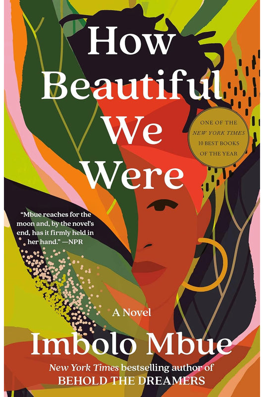 How Beautiful We Were by Imbolo Mbue