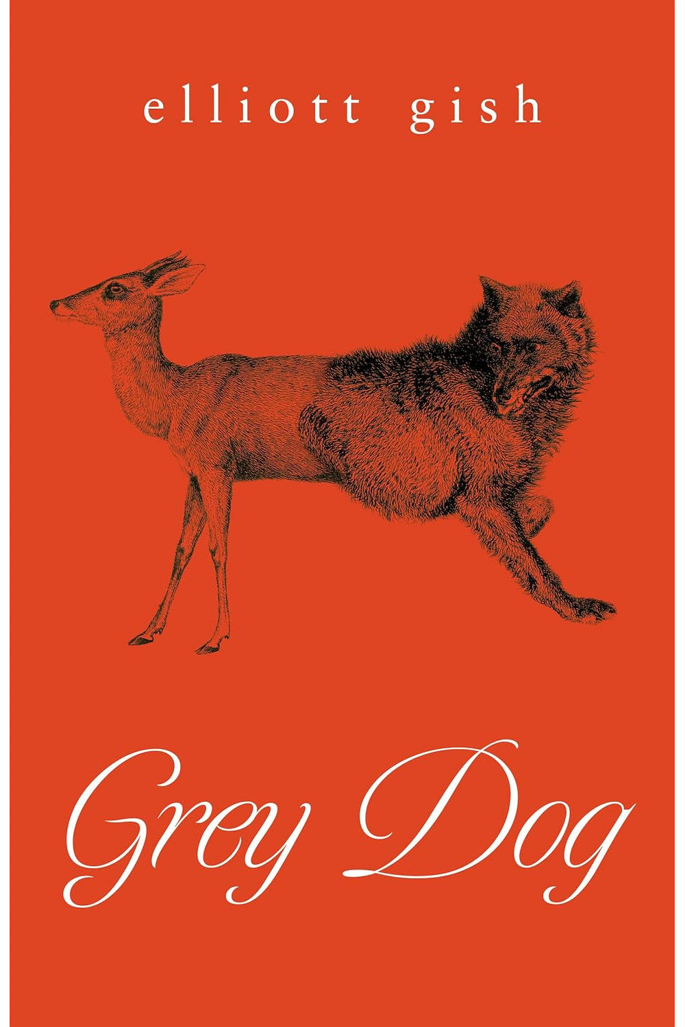 Grey Dog by Elliott Gish