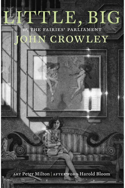 Little, Big: or, The Fairies' Parliament by John Crowley