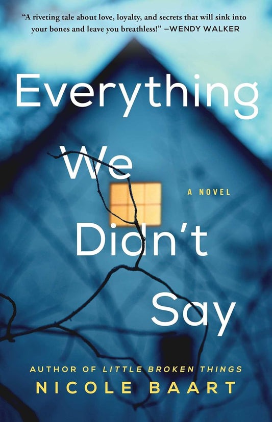 Everything We Didn’t Say by Nicole Baart