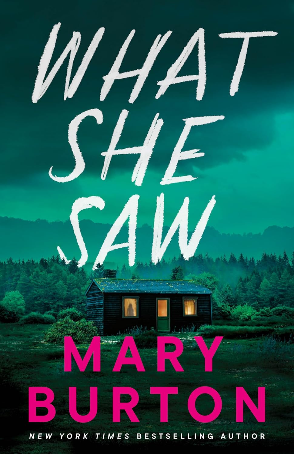 What She Saw by Mary Burton